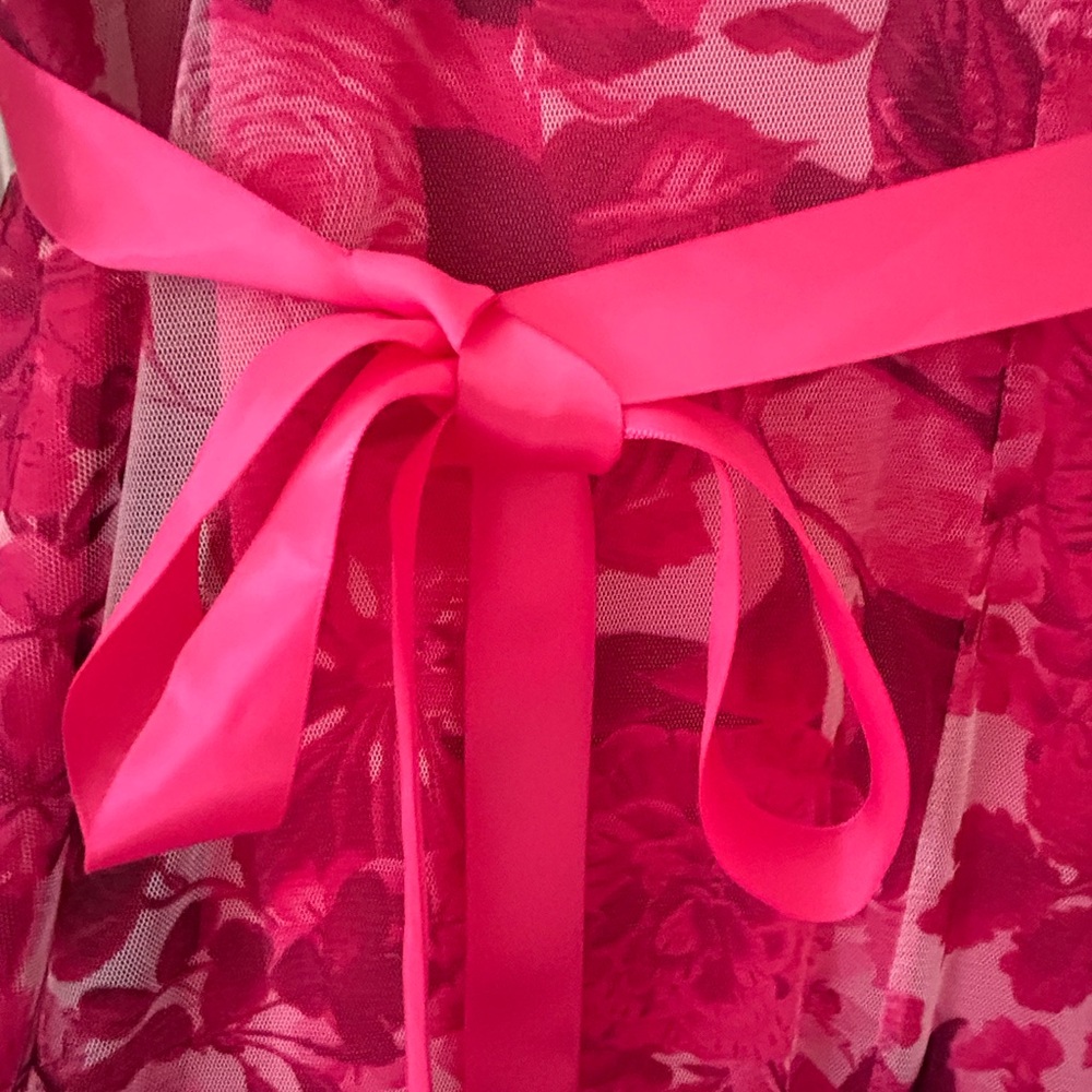 Lovely Grace Brand Pink Floral Mesh Dress